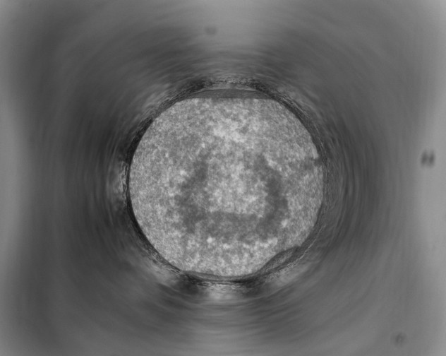 X0000097880336200804110958