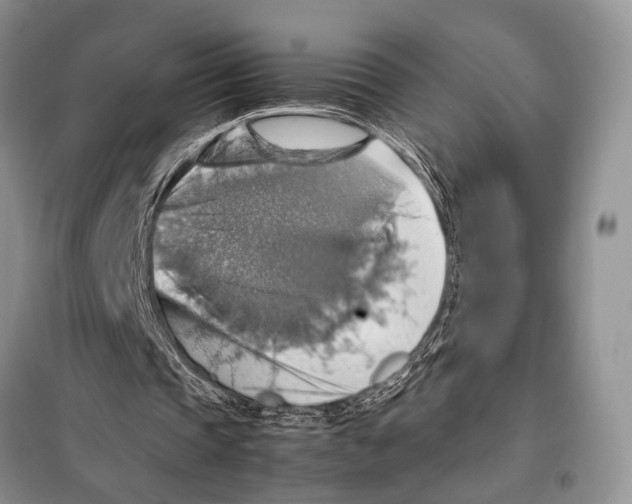 X0000097880337200804110957