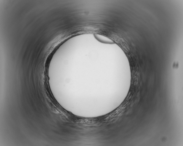 X0000097880338200804110957