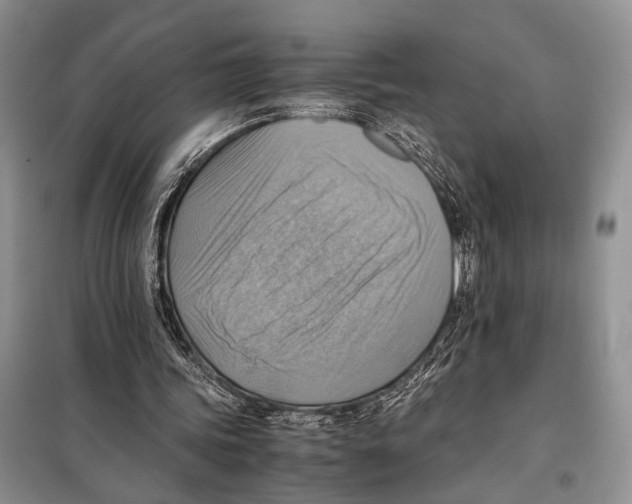 X0000097880339200804110957