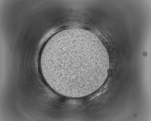 X0000097880341200804110957