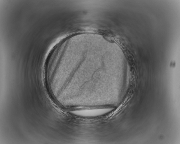 X0000097880342200804110957