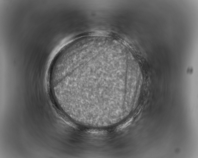 X0000097880343200804110957