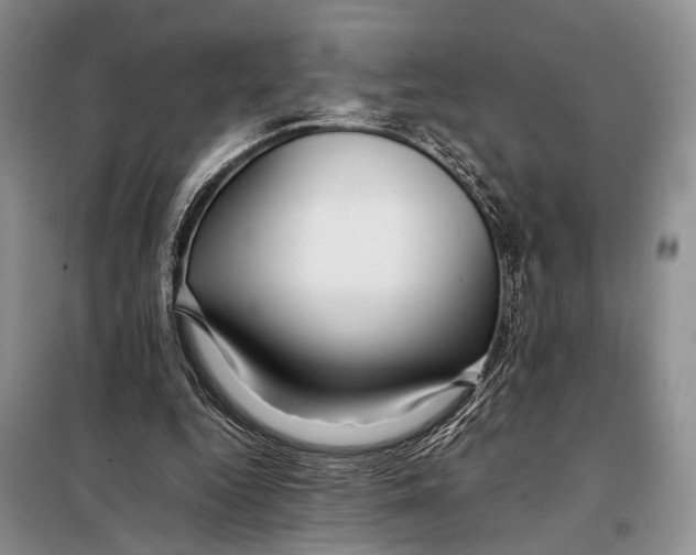 X0000097880344200804110957