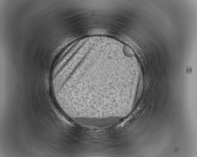 X0000097880345200804110957