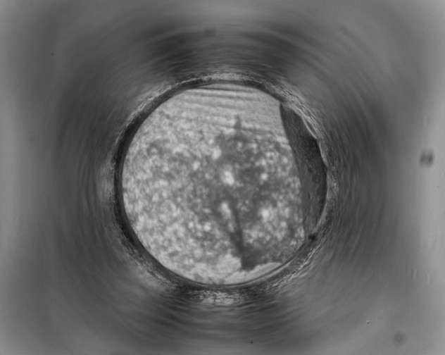 X0000097880347200804110957