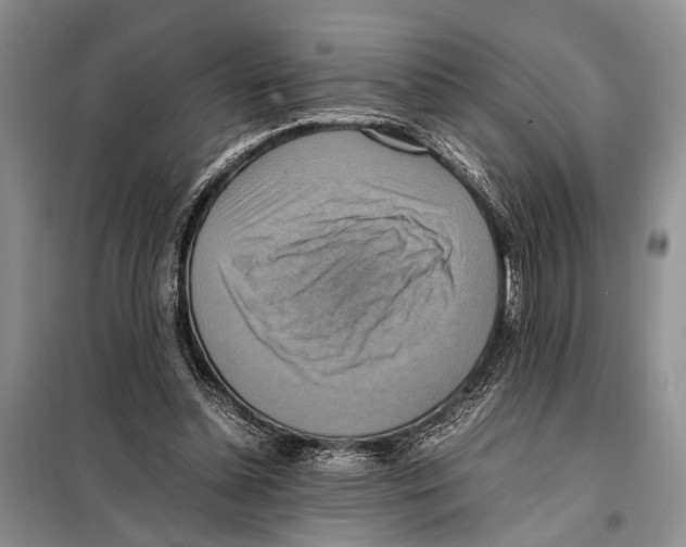 X0000097880348200804110957