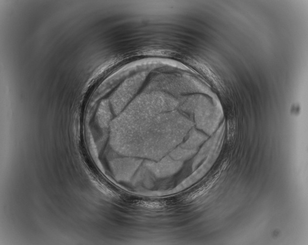 X0000097880349200804110957