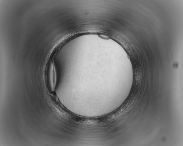 X0000097880350200804110957