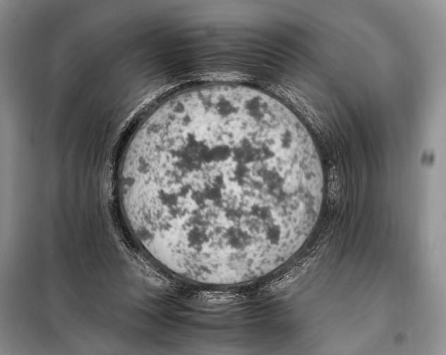 X0000097880351200804110957