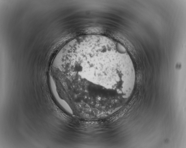 X0000097880353200804110957