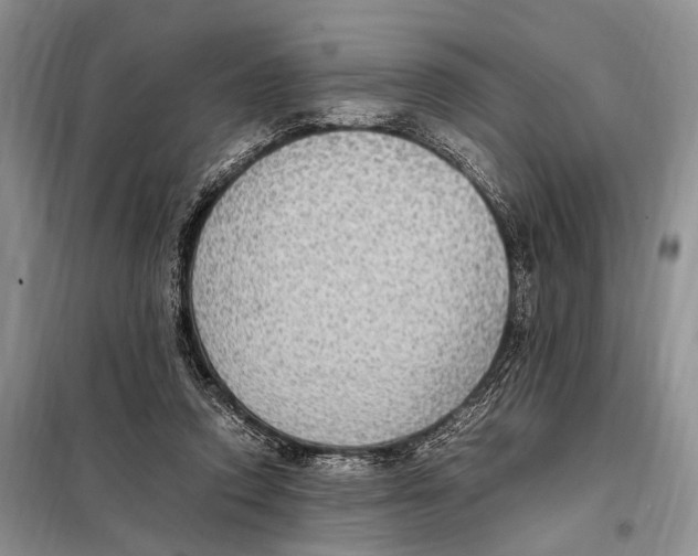 X0000097880354200804110957