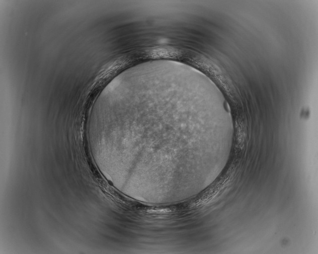 X0000097880357200804110957