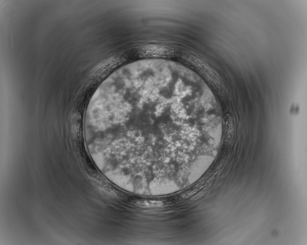 X0000097880361200804110957