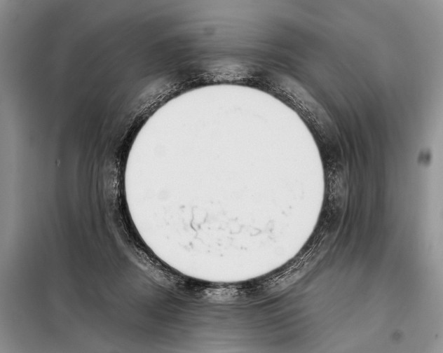 X0000097880362200804110957