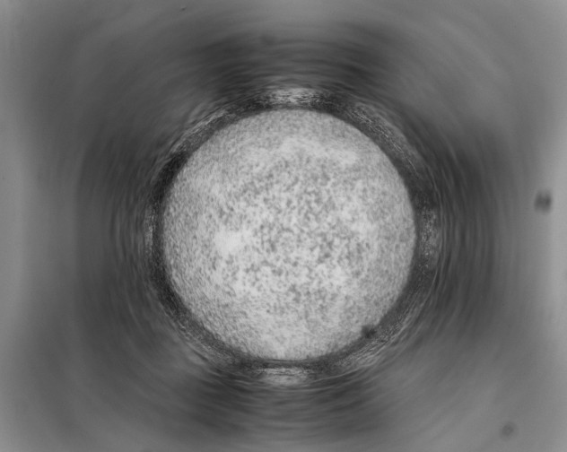 X0000097880363200804110957