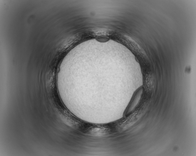 X0000097880364200804110957