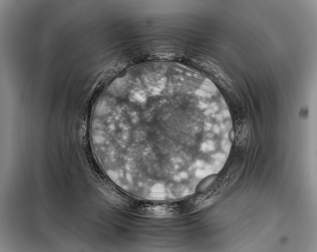 X0000097880365200804110957