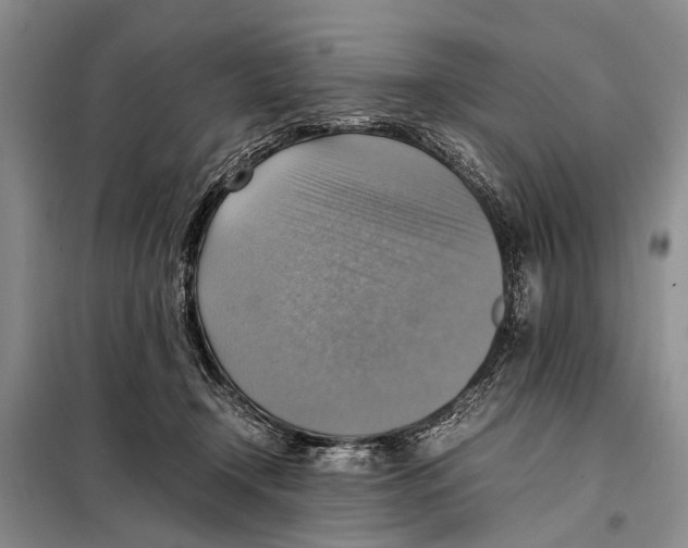 X0000097880366200804110957