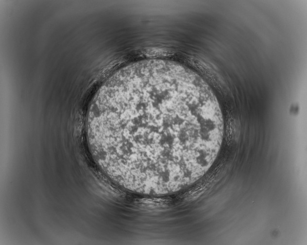 X0000097880367200804110957