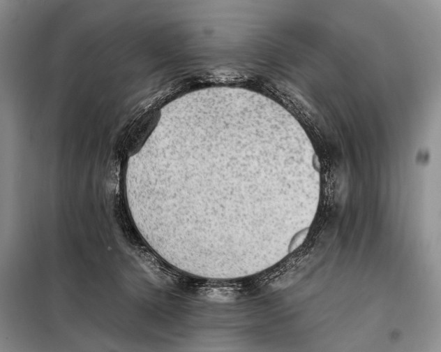 X0000097880368200804110957