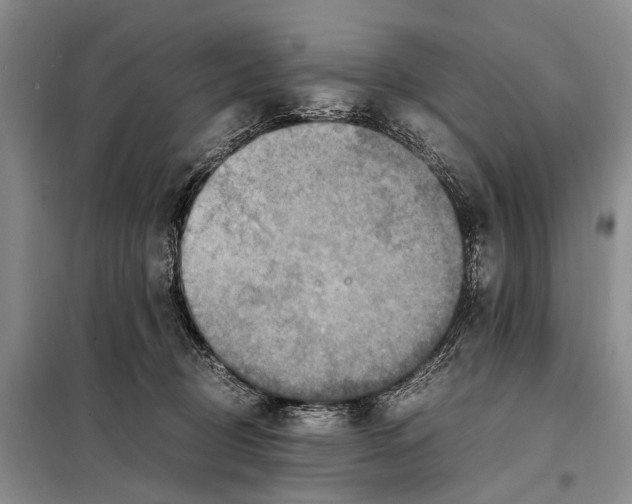 X0000097880370200804110957