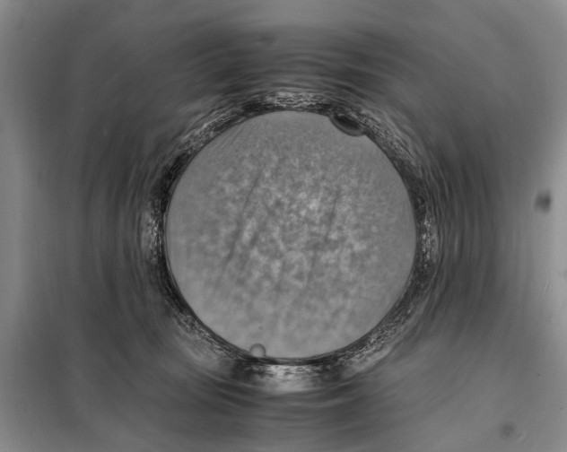 X0000097880371200804110957