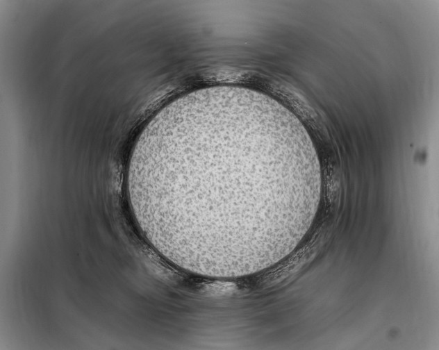 X0000097880374200804110957