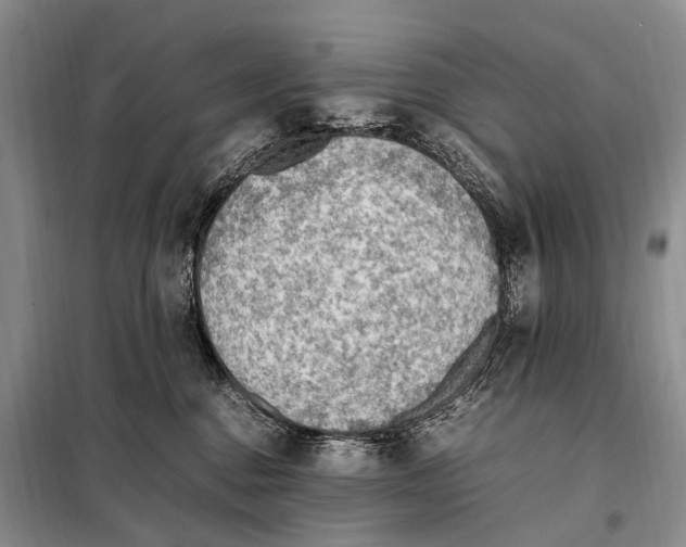 X0000097880376200804110957