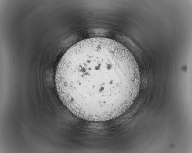 X0000097880377200804110957