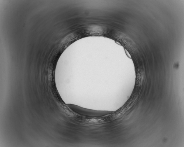 X0000097880379200804110958