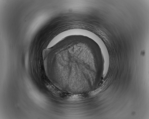 X0000097880382200804110958