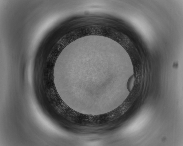 X0000097880383200804110958