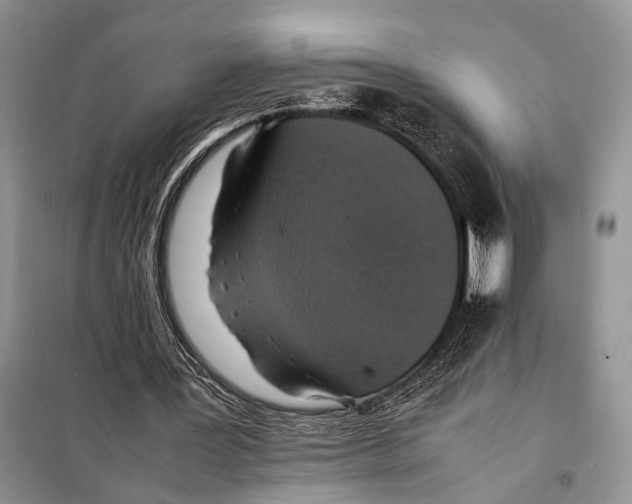 X0000097880387200804110957