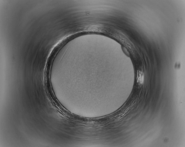 X0000097880388200804110957