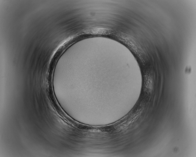 X0000097880392200804110957