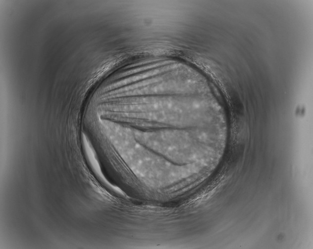 X0000097880393200804110957