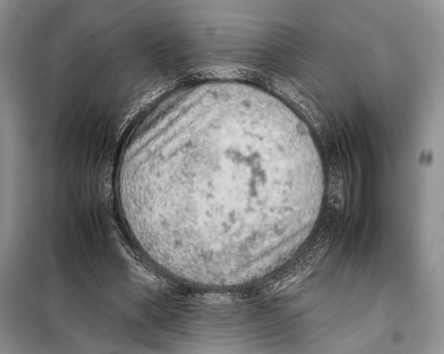 X0000097880394200804110957