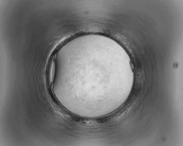 X0000097880395200804110957