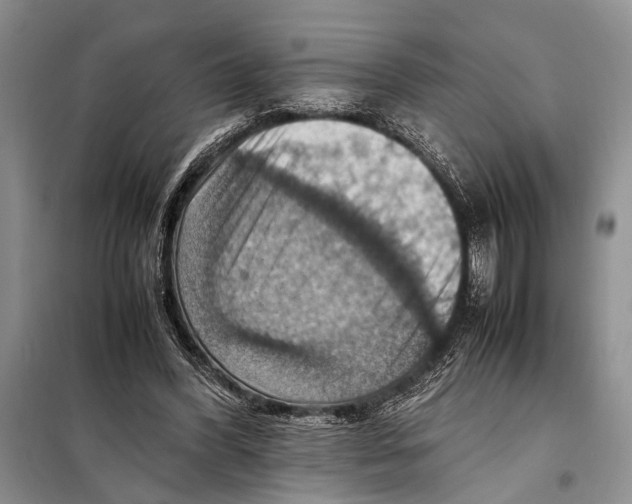 X0000097880396200804110957