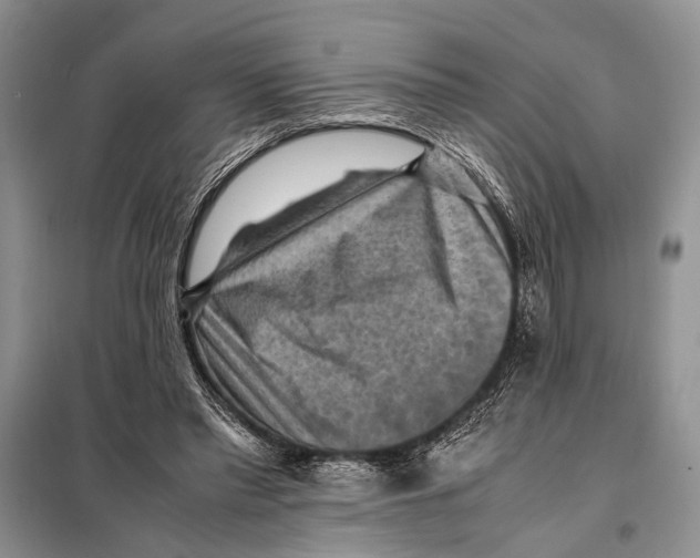 X0000097880397200804110957