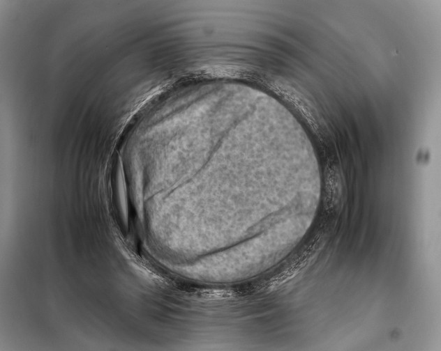 X0000097880398200804110956