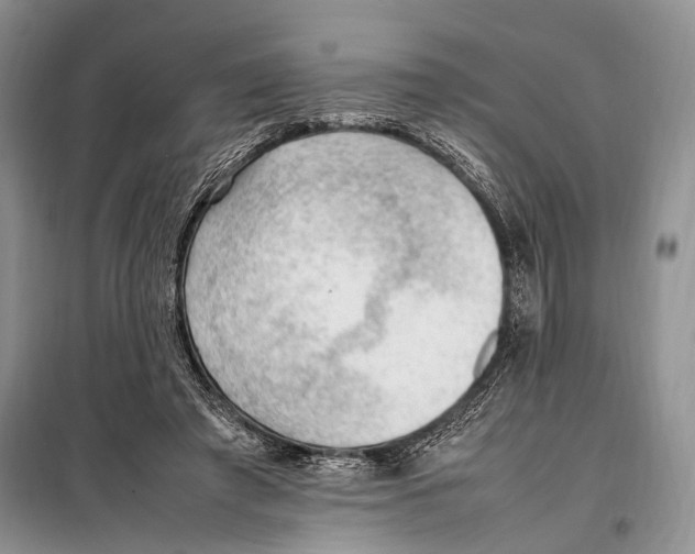 X0000097880401200804110956