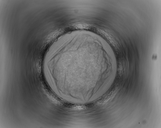 X0000097880402200804110956