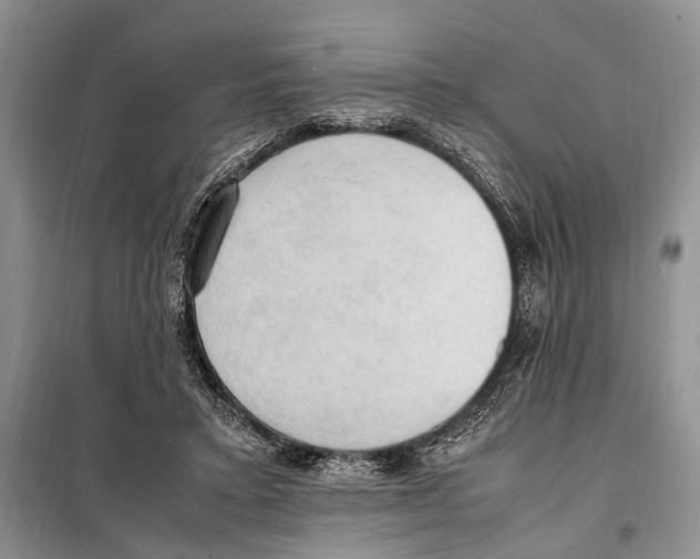 X0000097880403200804110956