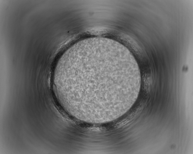 X0000097880404200804110956