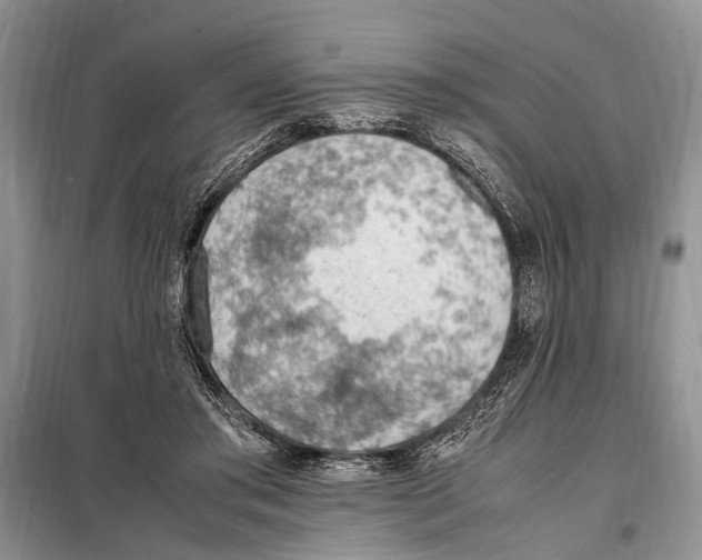 X0000097880405200804110956