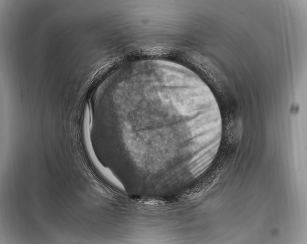 X0000097880407200804110956