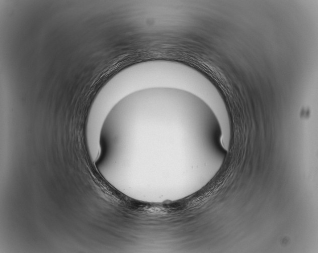 X0000097880409200804110956