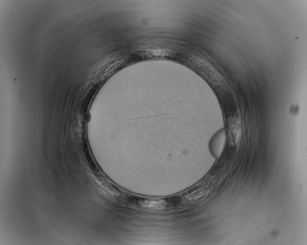 X0000097880410200804110956